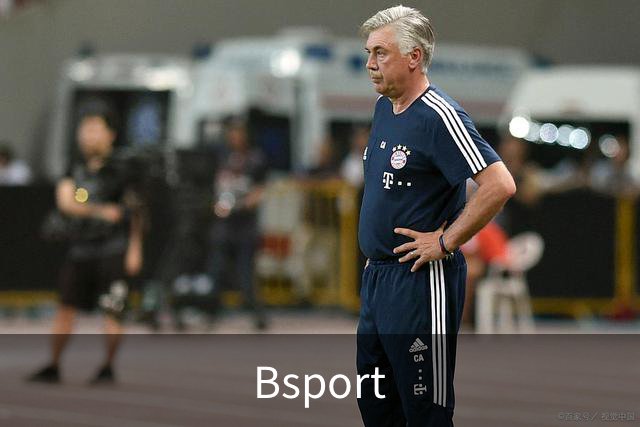 Bsport公司简介